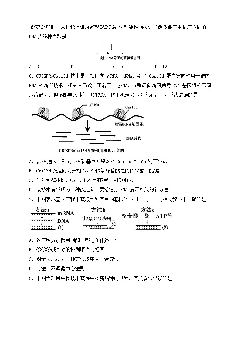 陕西省西安市雁塔区第二中学、渭北中学2021-2022学年高二下学期期中联考生物试题（含答案）02