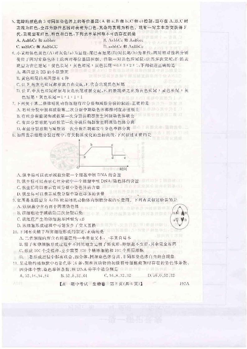 2021开封五县联考高一下学期期中考试生物试题扫描版含答案02