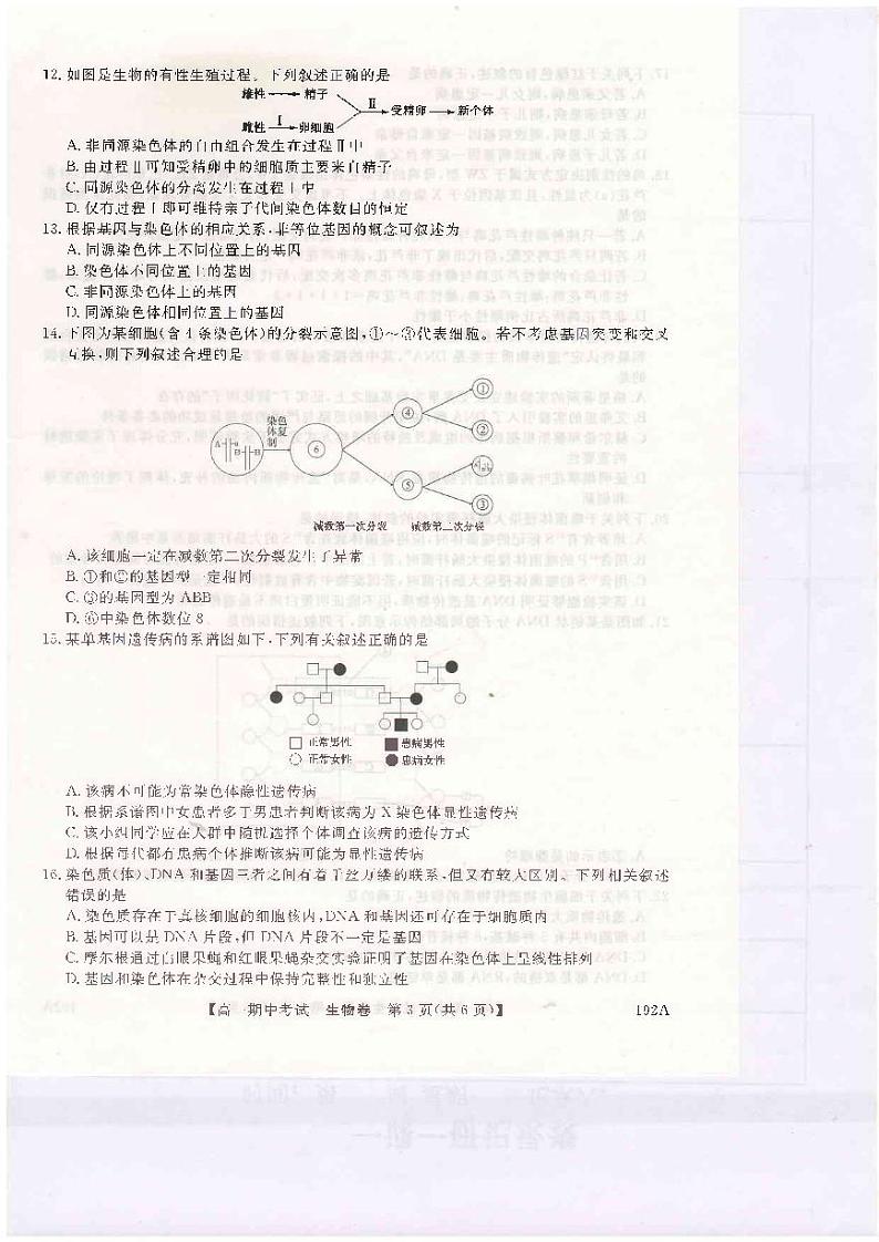 2021开封五县联考高一下学期期中考试生物试题扫描版含答案03