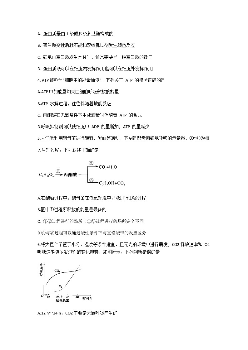 2021河南省名校联盟高一下学期期中考试生物试题含答案第2页