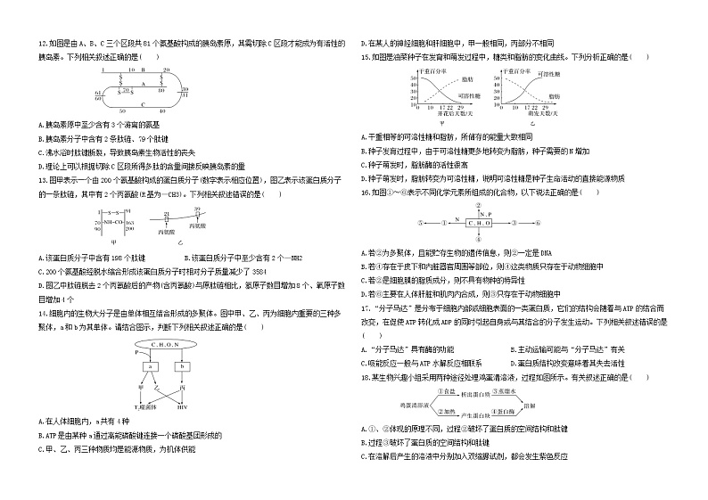 2021甘肃省会宁县一中高一下学期期中考试生物试题含答案第2页