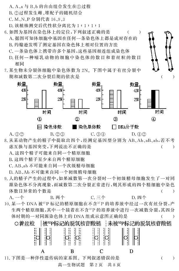 山东省济宁市兖州区2020-2021学年高一下学期期中考试生物试题（PDF版）第2页