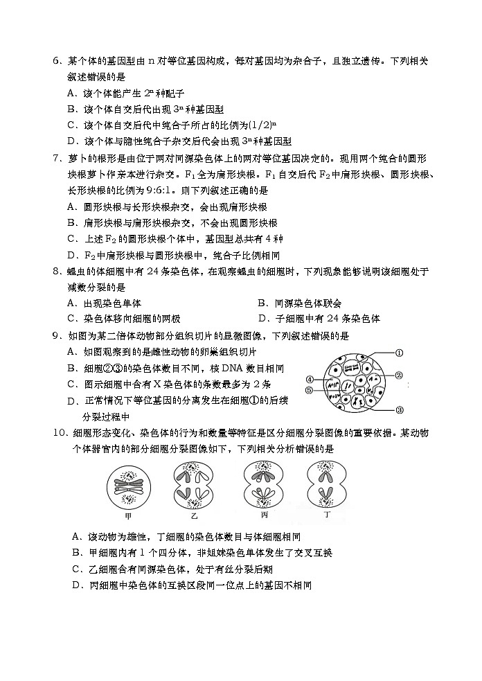 2021青岛胶州高一下学期期中考试生物试题含答案02