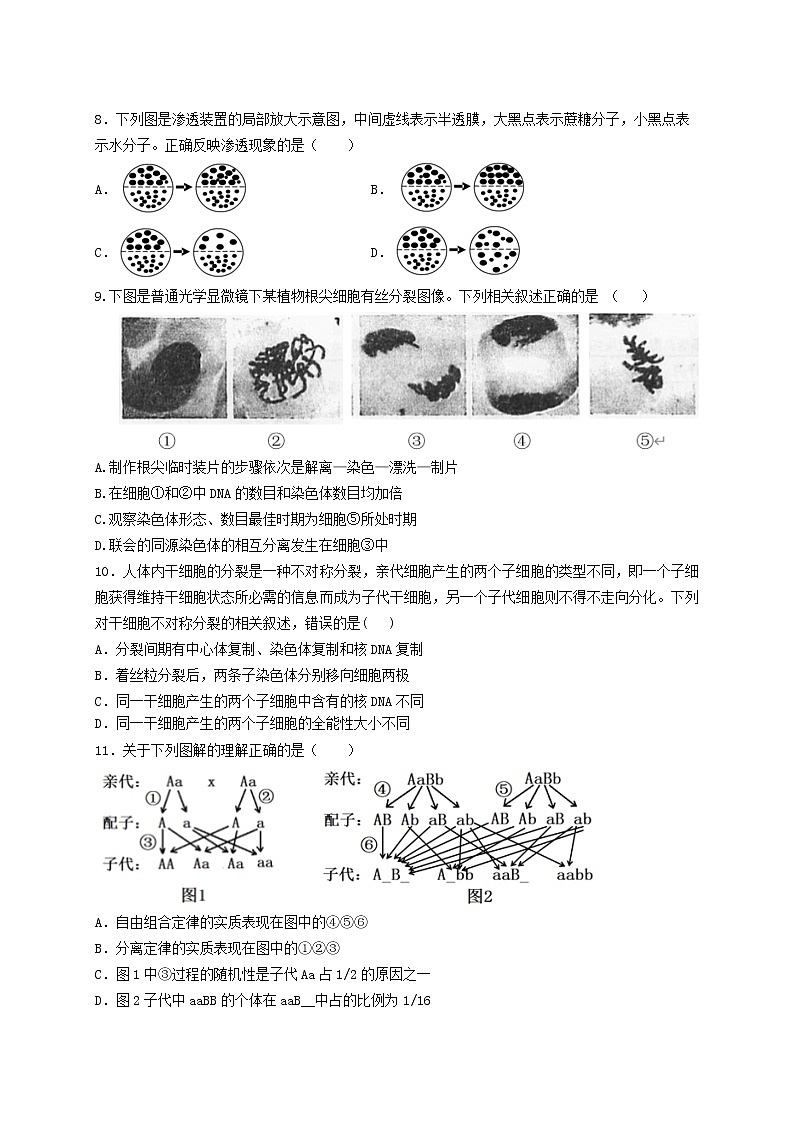 2021珠海二中高一下学期期中考试生物试题含答案第2页