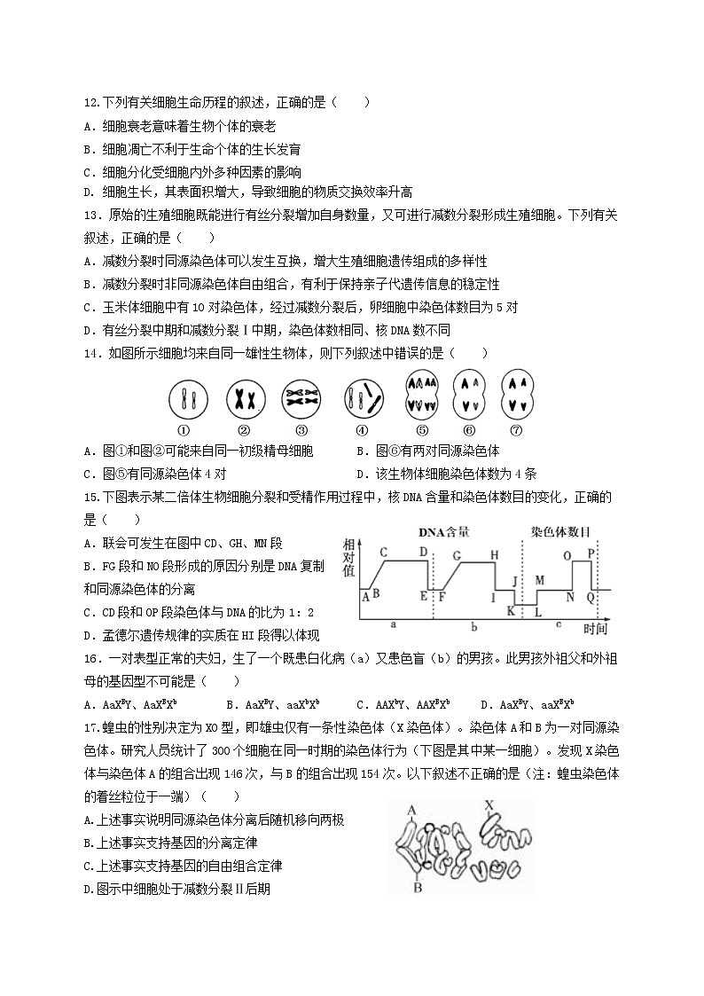 2021珠海二中高一下学期期中考试生物试题含答案第3页