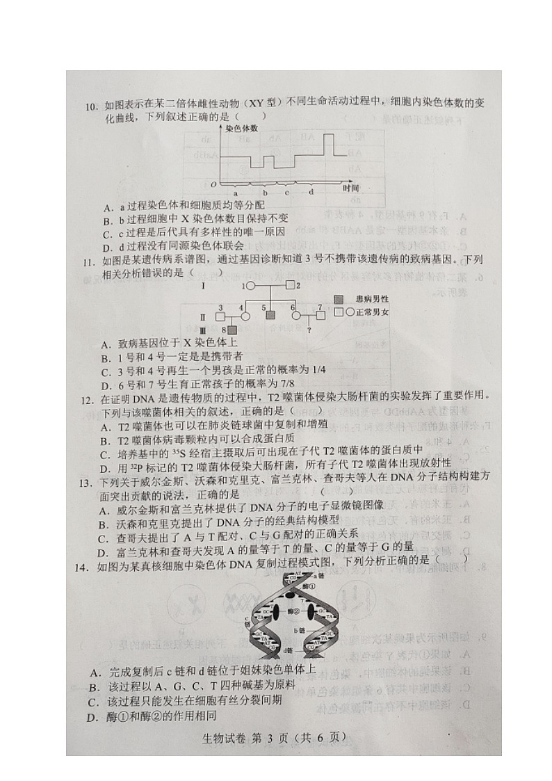2021沈阳郊联体高一下学期期中考试生物试题扫描版含答案第3页