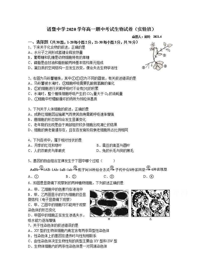 2021绍兴诸暨中学高一下学期4月期中考试生物试题（实验班）含答案01