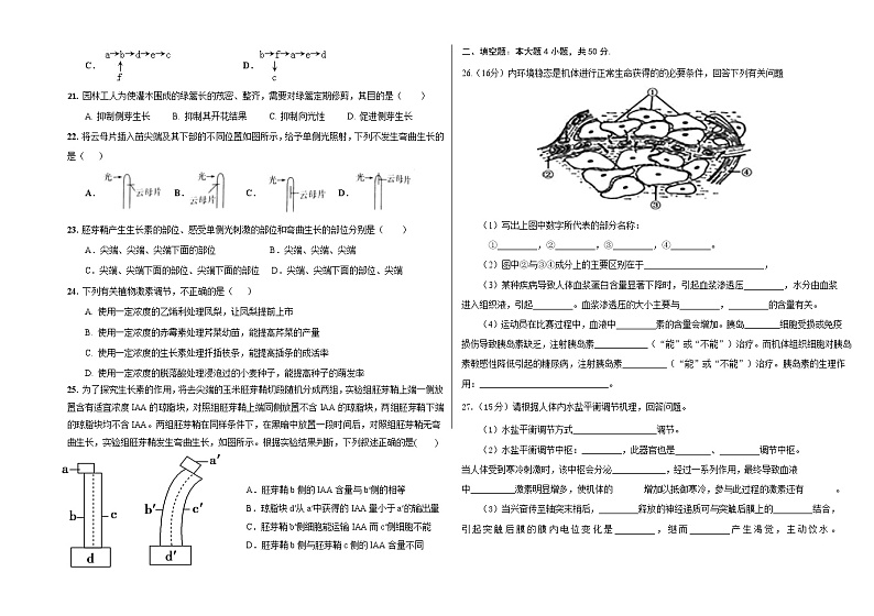 2021濮阳职业技术学院附中高一下学期阶段测试（一）生物试卷含答案第3页