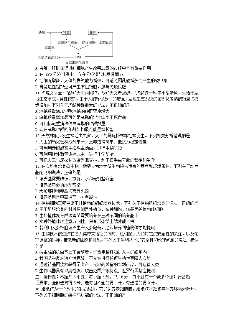 山东省2022届高三下学期二轮复习联考（二）+生物 无答案第3页
