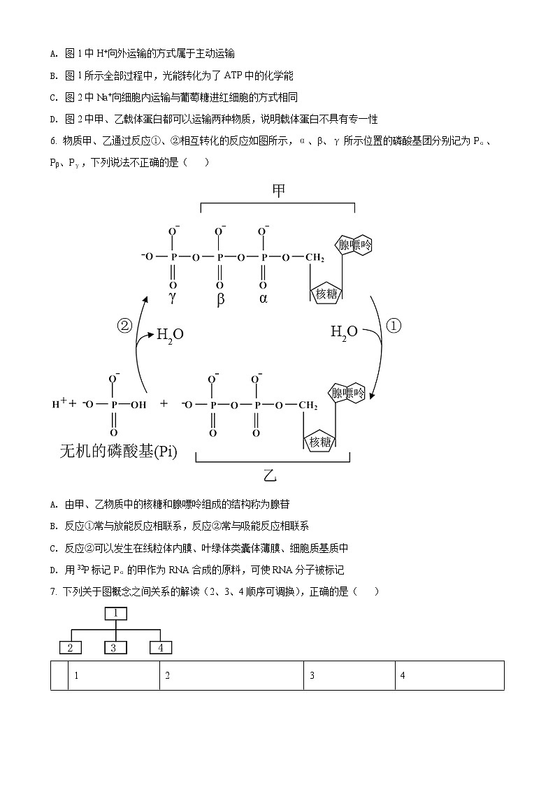 精品解析：2022届重庆市高三四模生物试题（原卷版）02