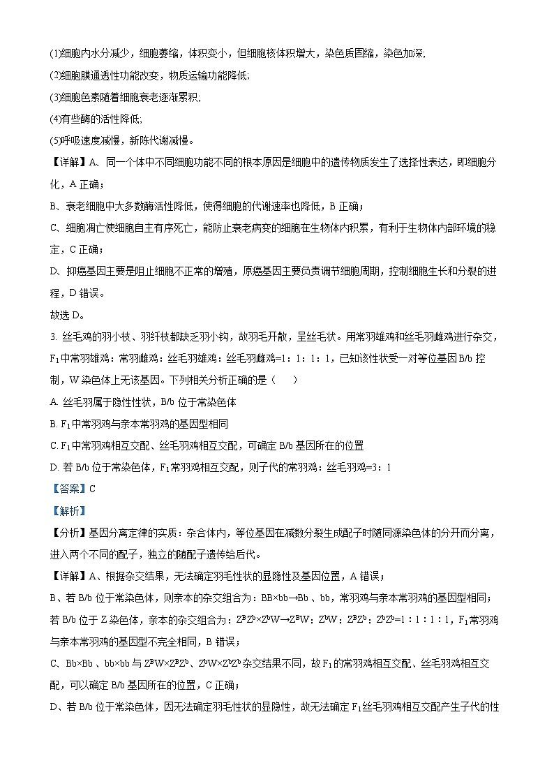 精品解析：2022届黑龙江省齐齐哈尔市高三三模理综生物试题（解析版）02