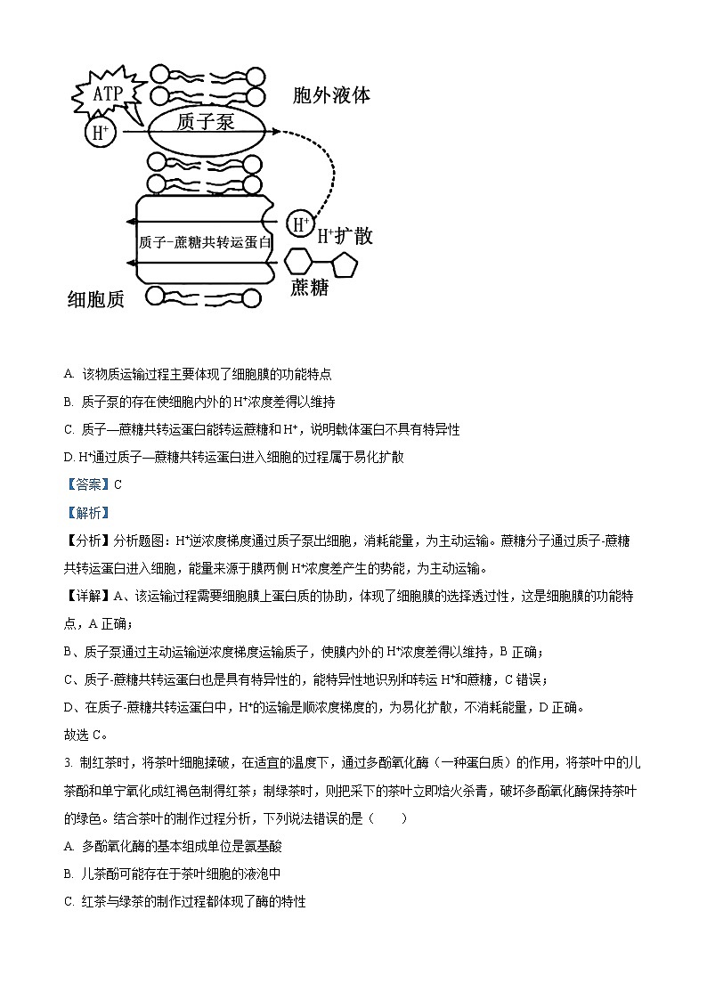 精品解析：2022届辽宁省沈阳市二中高三四模生物试题（解析版）第2页