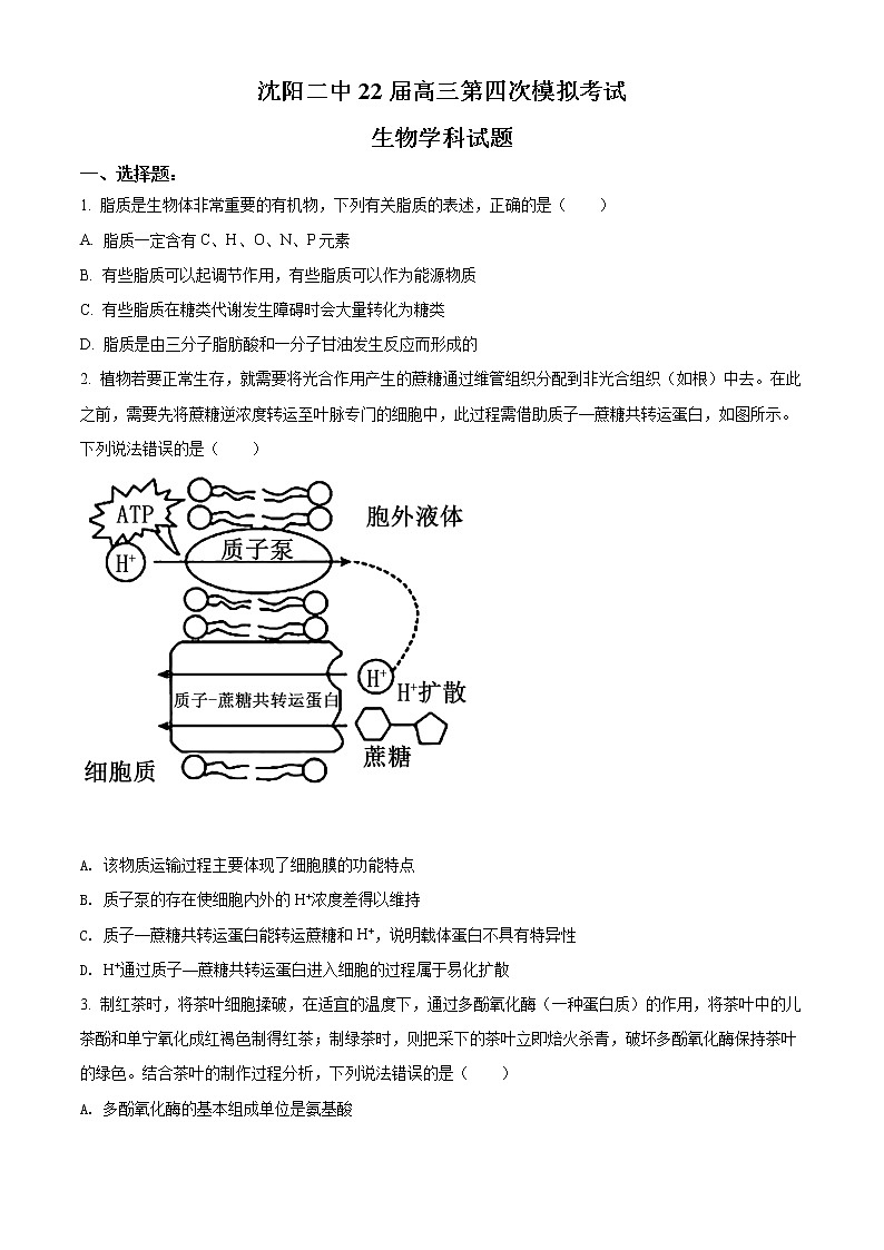 精品解析：2022届辽宁省沈阳市二中高三四模生物试题（原卷版）01