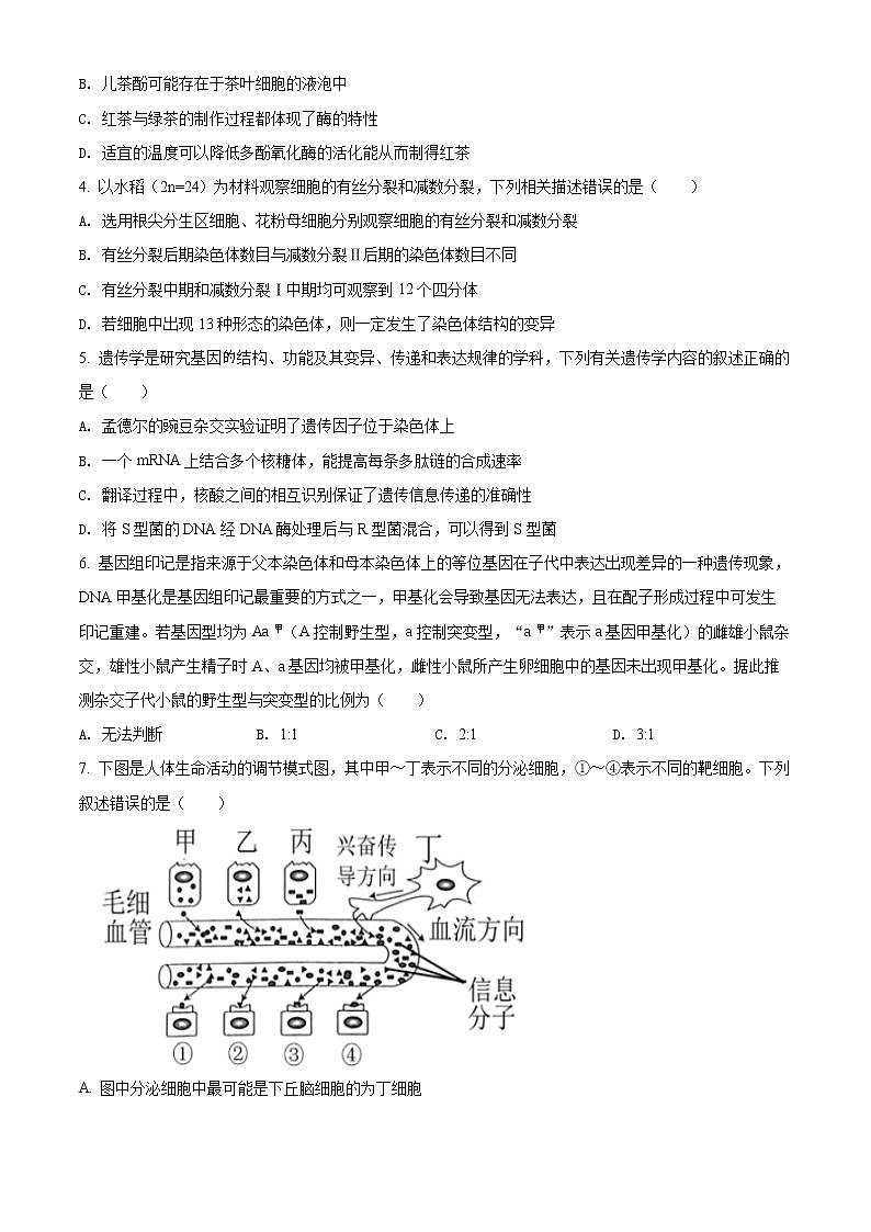 精品解析：2022届辽宁省沈阳市二中高三四模生物试题（原卷版）02