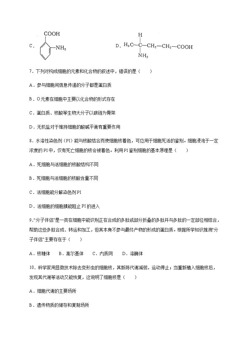 2021河北省深州市长江中学高一下学期期中考试生物试题含答案第3页