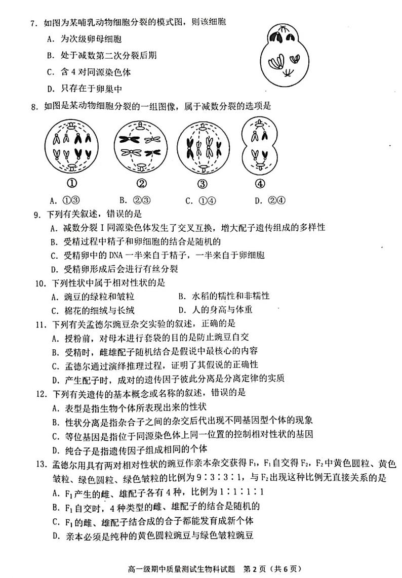 2021广东省普宁市高一下学期期中考试生物试题扫描版含答案02
