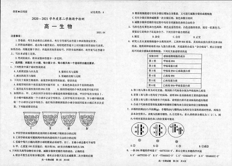 2021枣庄八中高一下学期期中考试生物试题扫描版含答案01