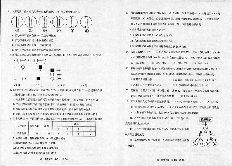 2021枣庄八中高一下学期期中考试生物试题扫描版含答案02