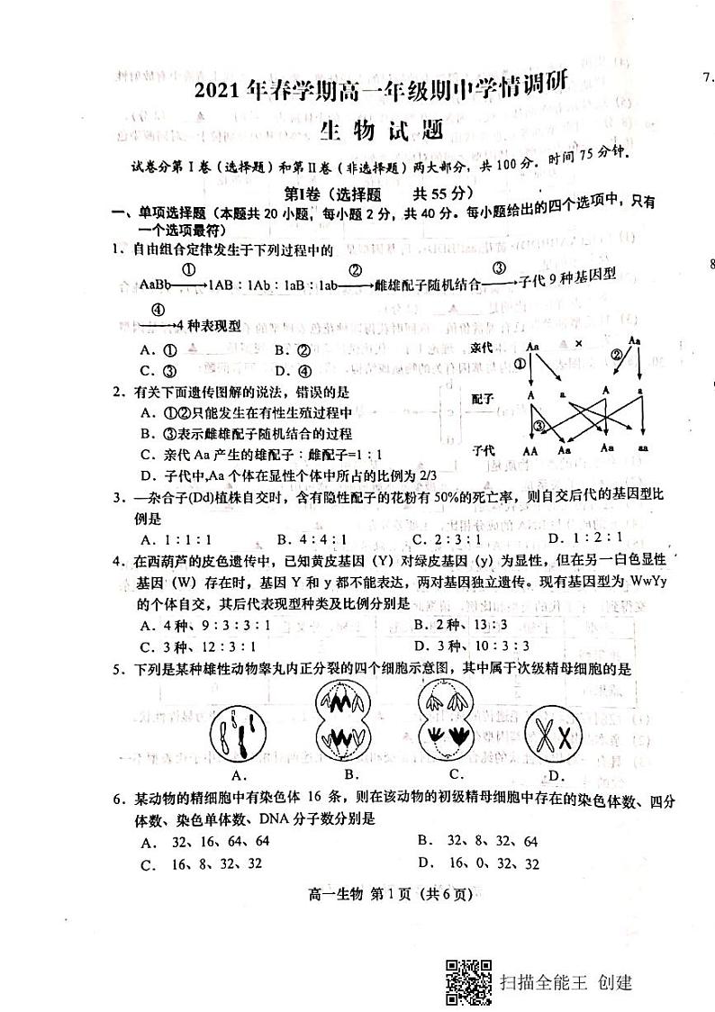 江苏省盐城市阜宁县2020-2021学年高一下学期期中学情调研生物试题第1页