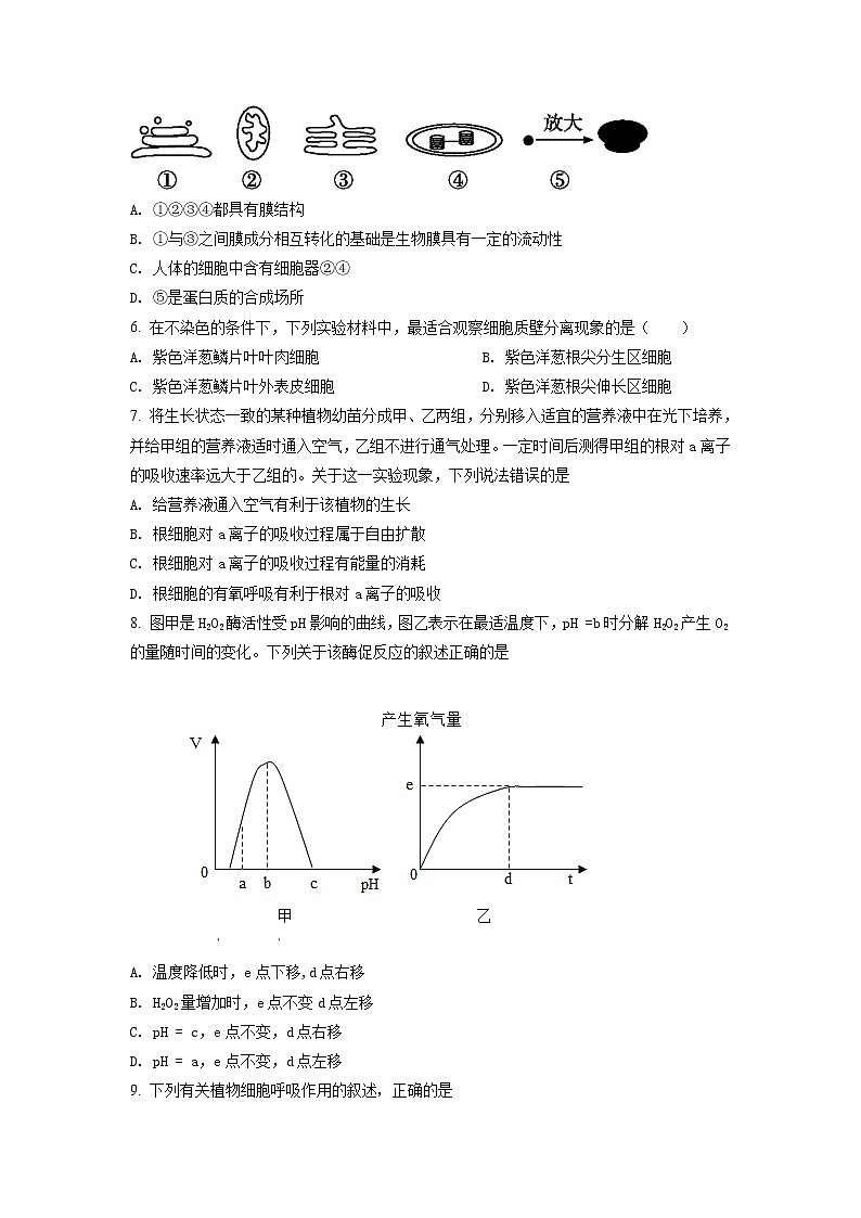 2022河南省豫北名校联盟高二下学期第三次联考生物试题含答案第2页