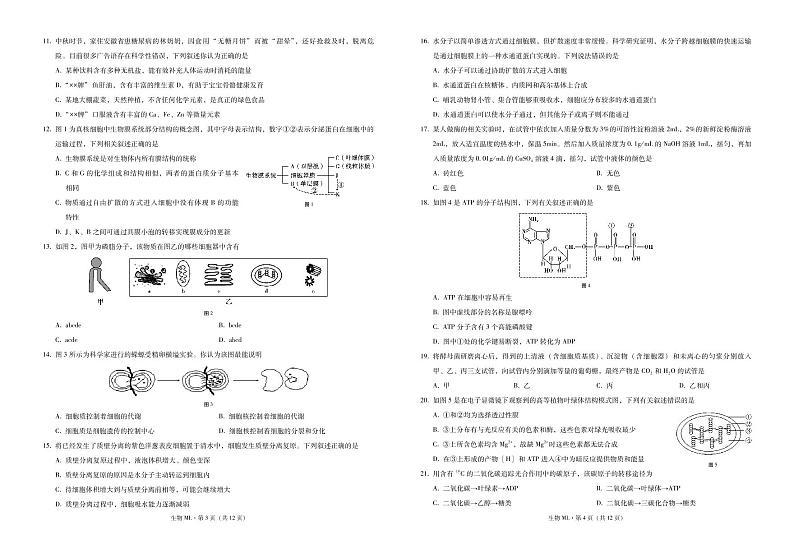 云南省红河州弥勒市第一中学2020-2021学年高一下学期第二次月考生物试题（PDF版）第2页