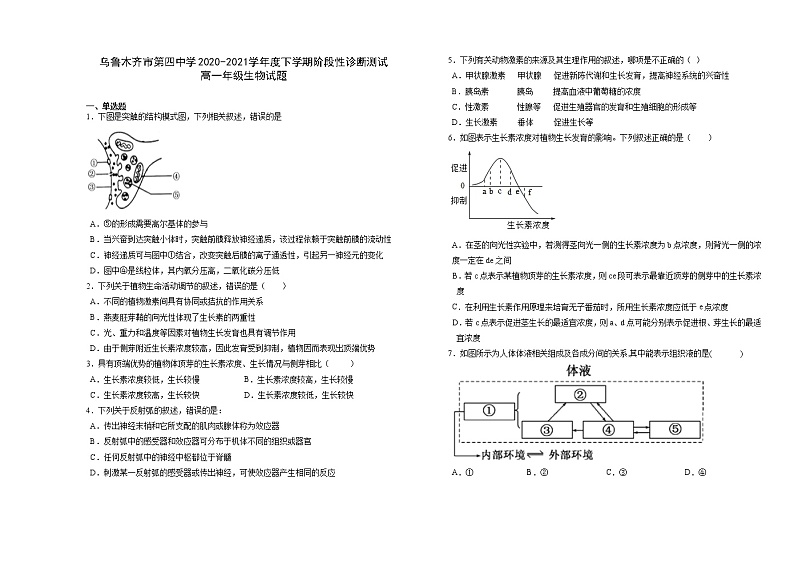 2021乌鲁木齐四中高一年级下学期期中考试生物试题含答案01