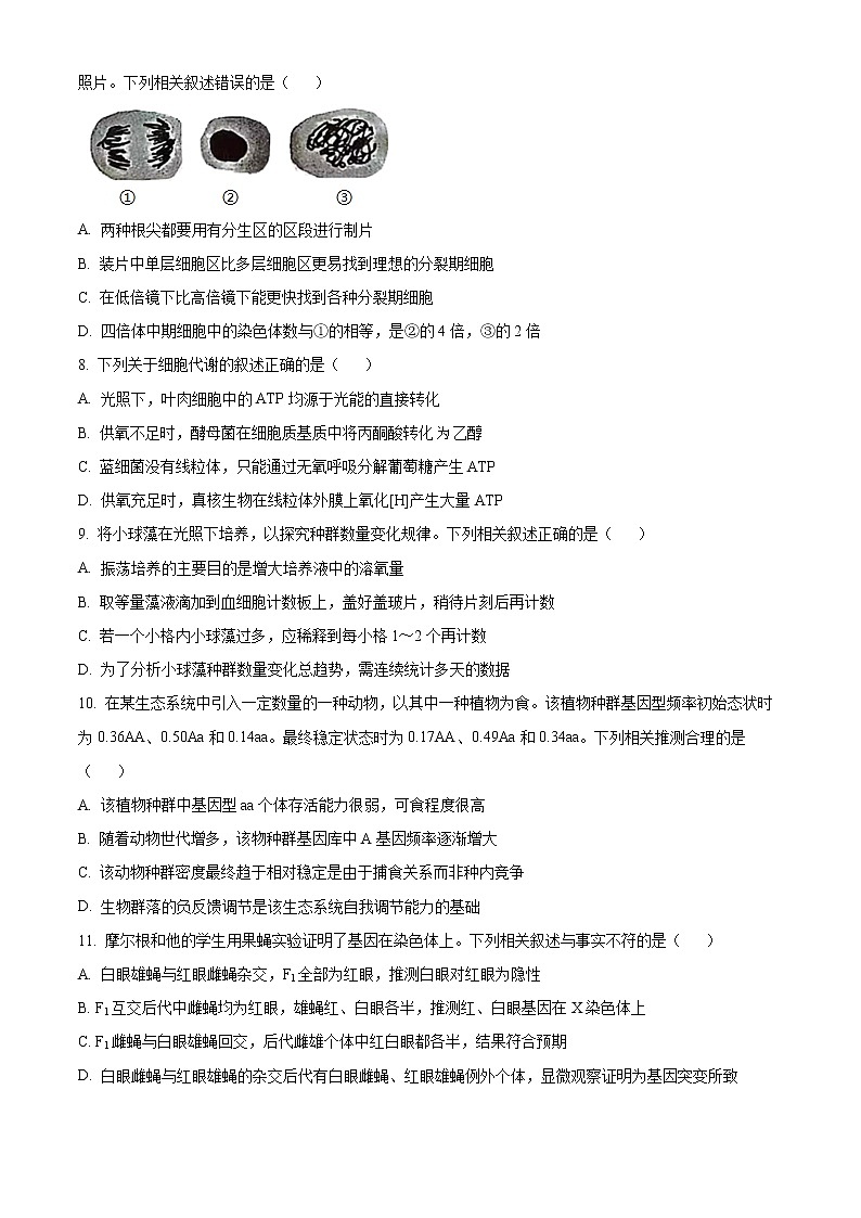 2022年高考江苏卷 生物卷及答案解析（原卷+解析卷）02