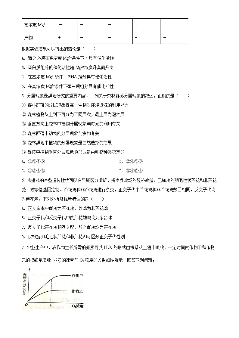 2022年高考全国乙卷 生物卷及答案解析（原卷+解析卷）02
