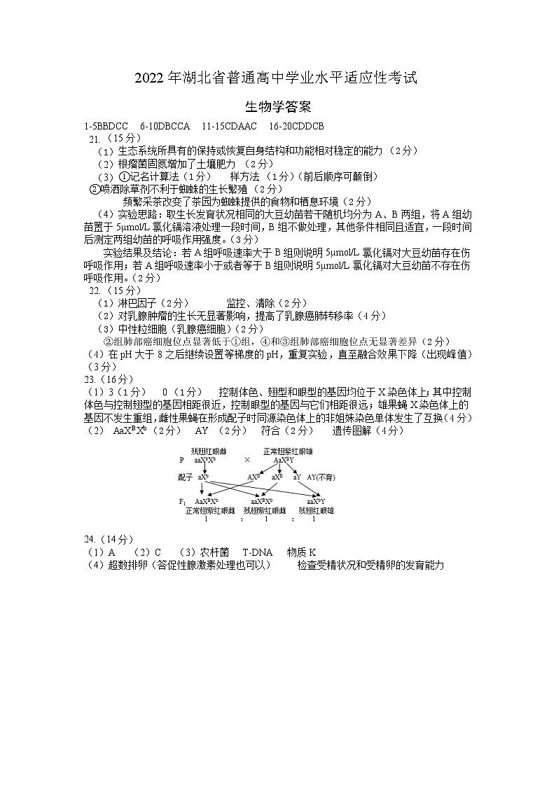 湖北省襄阳市第四中学2022届高三四模生物试题（word版 含答案）01