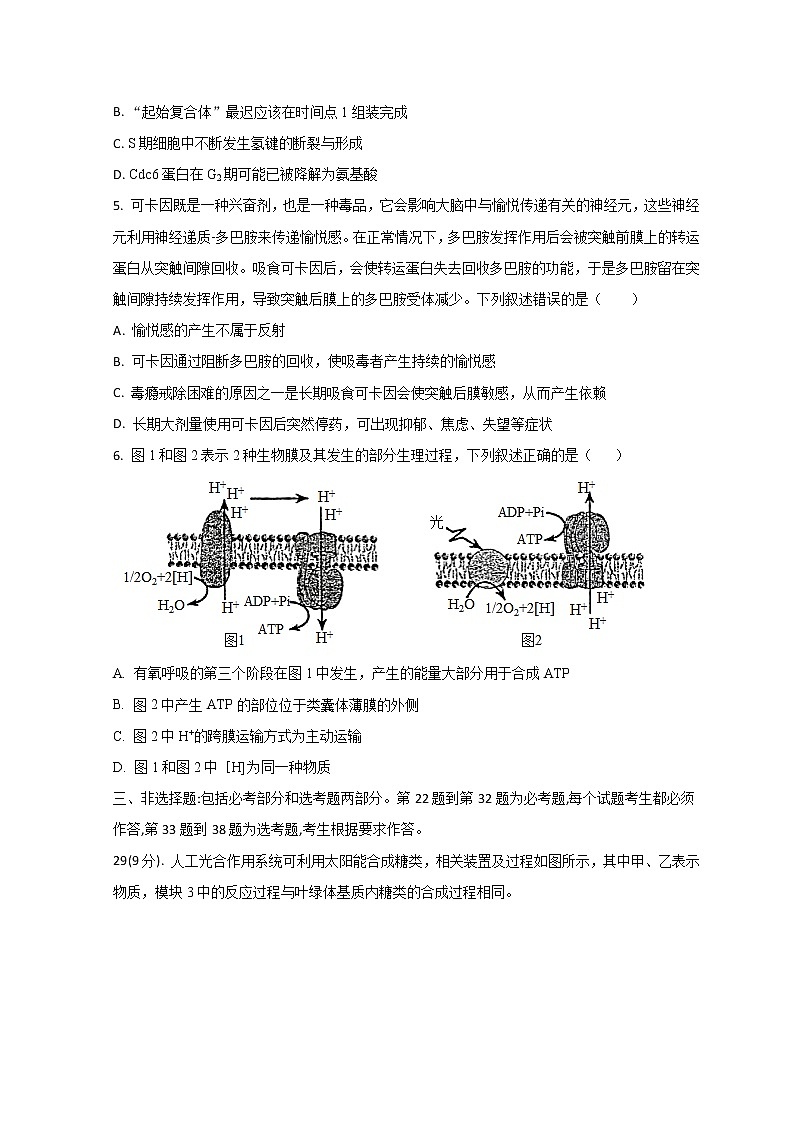 2022高考压轴卷  生物（全国乙卷） Word版含解析02