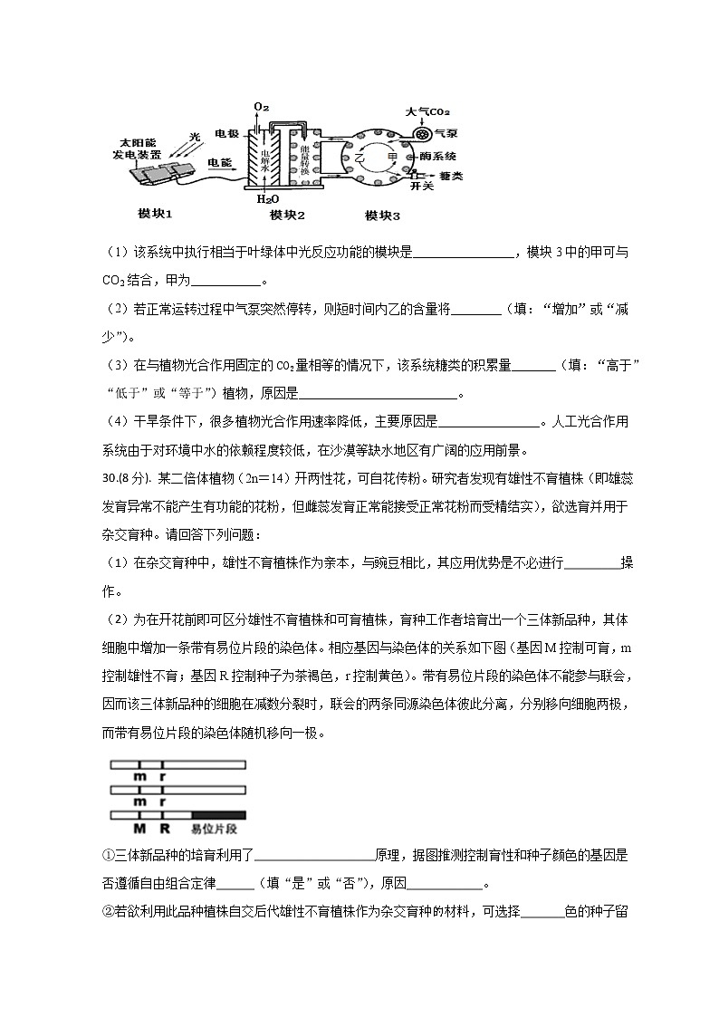 2022高考压轴卷  生物（全国乙卷） Word版含解析03