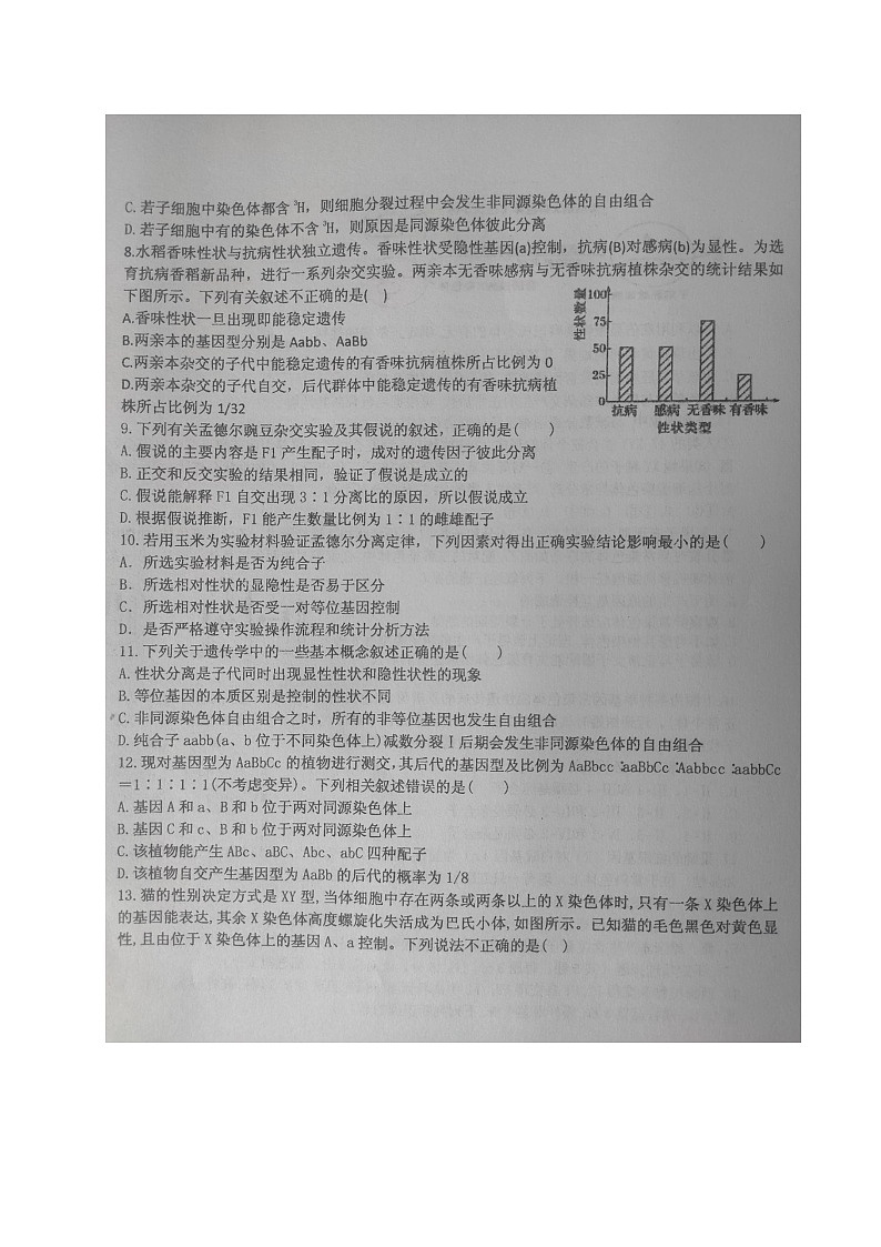 2021烟台二中高一4月月考生物试题（图片版）含答案02