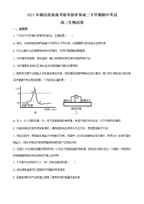 2021湖北省新高考联考协作体高一下学期期中考试生物试题含答案