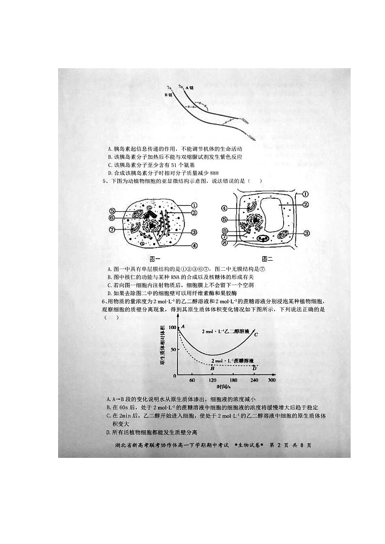 [预约]2021年湖北省新高考联考协作体高一下学期期中考试生物试题第2页