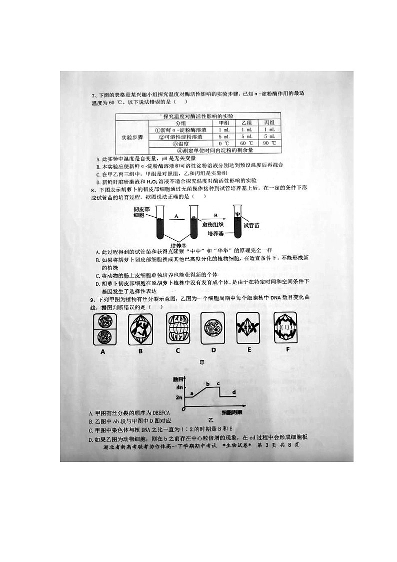 [预约]2021年湖北省新高考联考协作体高一下学期期中考试生物试题第3页