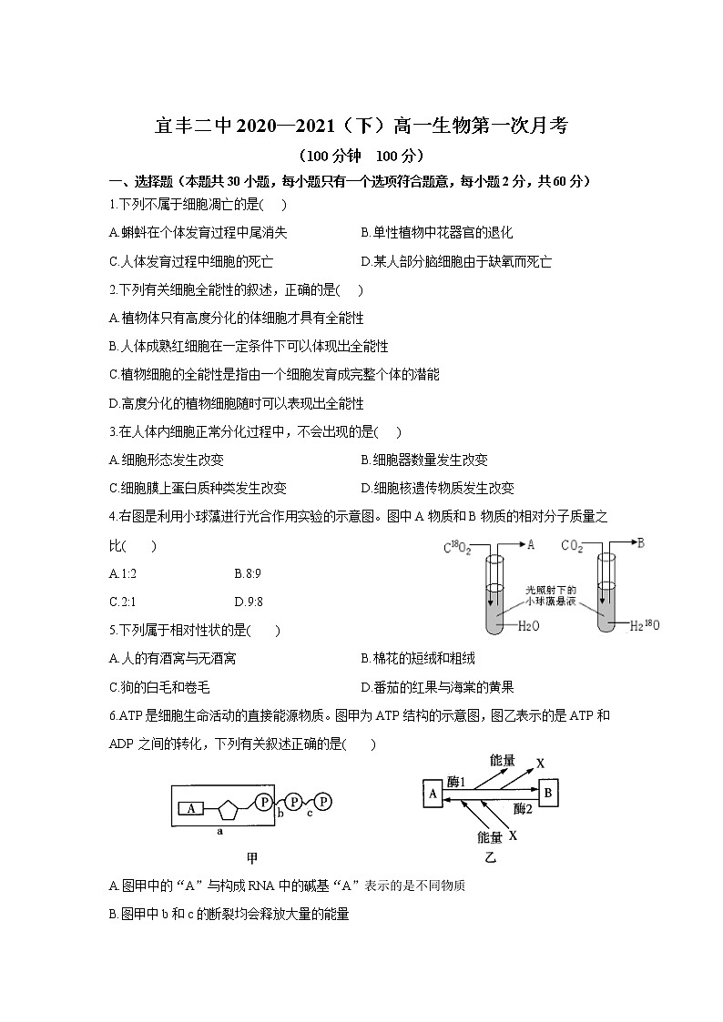 2021宜春宜丰县二中高一下学期第一次月考生物试题含答案第1页