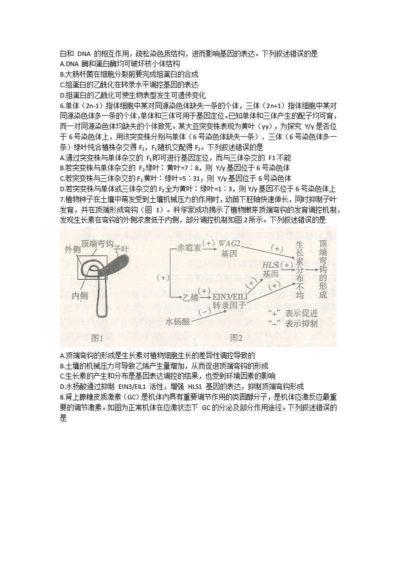 2022届山东省济宁市高考模拟考试（三模）生物试题02