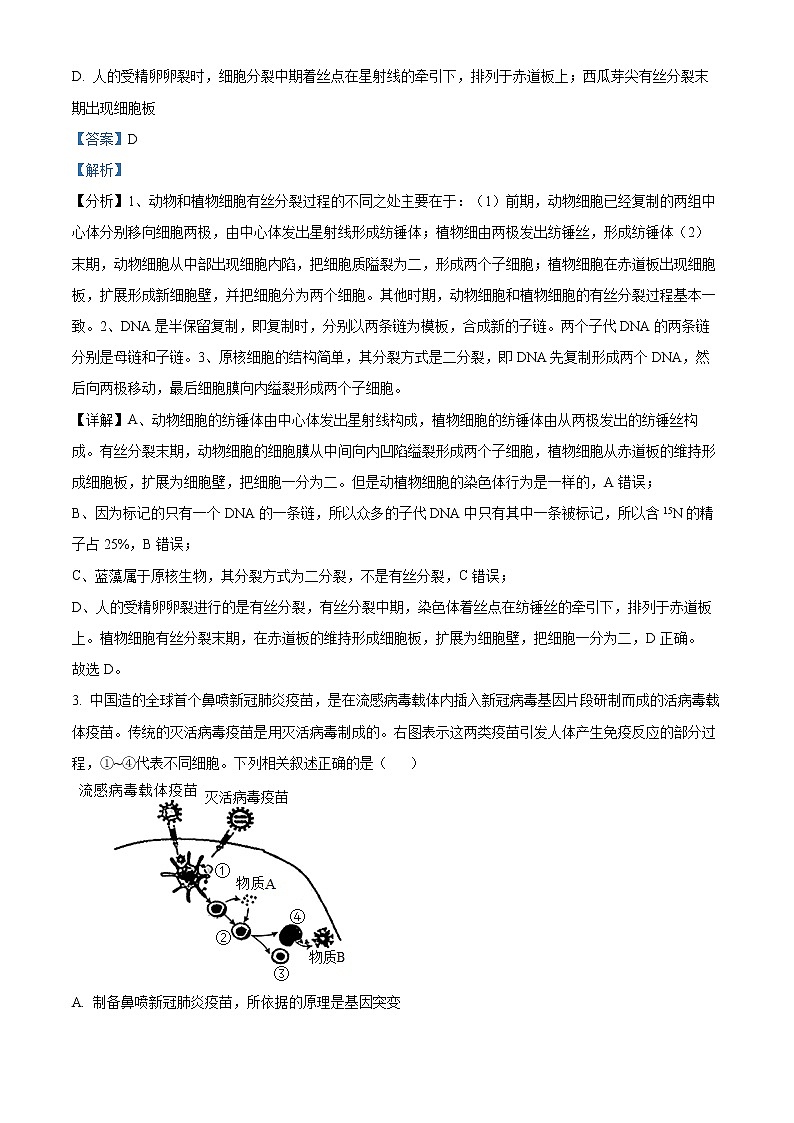 2022届陕西省西安中学高三第一次仿真考试理综生物试题（解析版）02