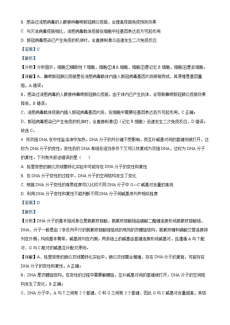 2022届陕西省西安中学高三第一次仿真考试理综生物试题（解析版）03