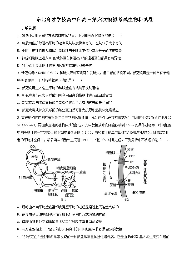 辽宁省东北育才学校高中部2021-2022学年高三第六次模拟考试生物试题第1页