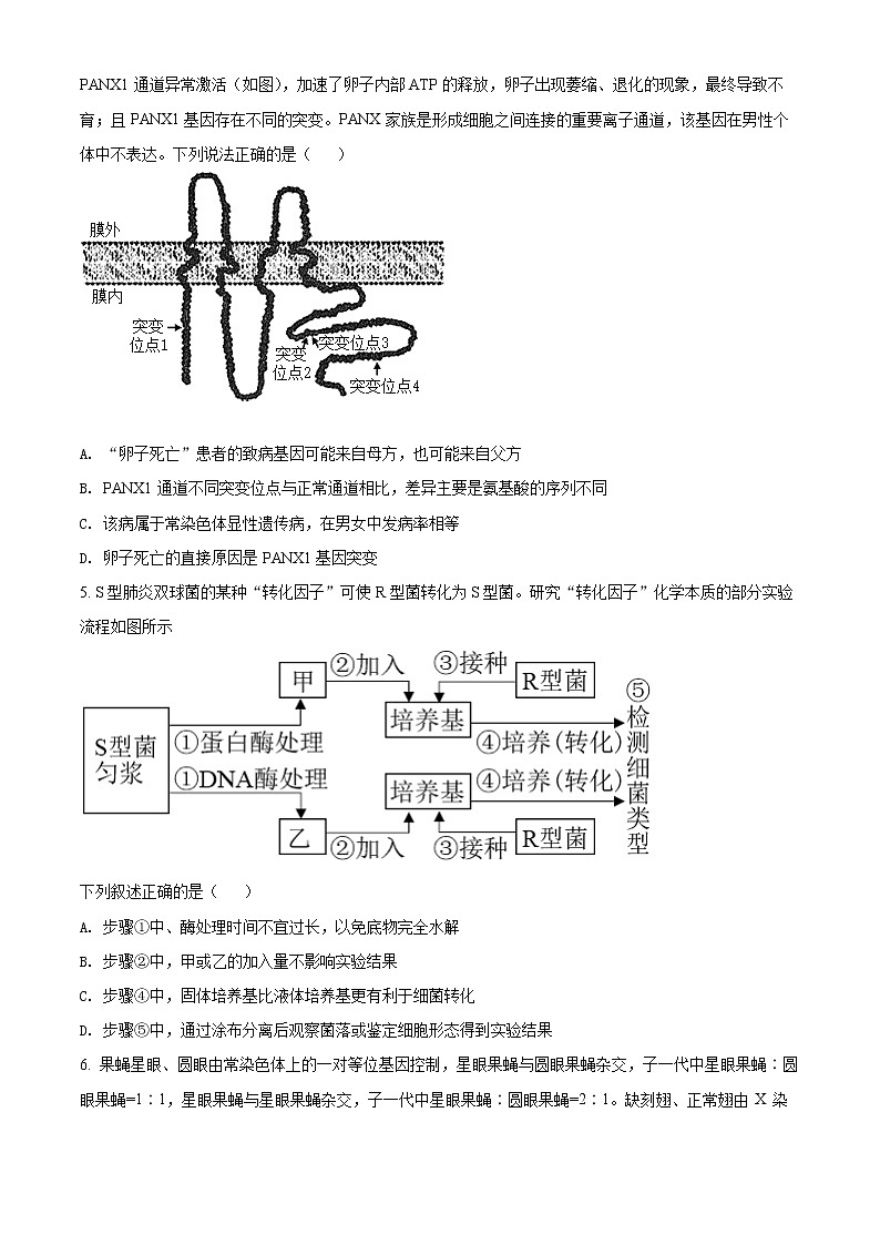 辽宁省东北育才学校高中部2021-2022学年高三第六次模拟考试生物试题第2页