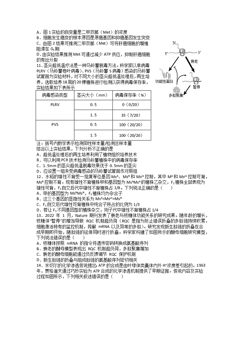 2022届湖北省襄阳市第五中学高三适应性考试（四模）生物试题第3页