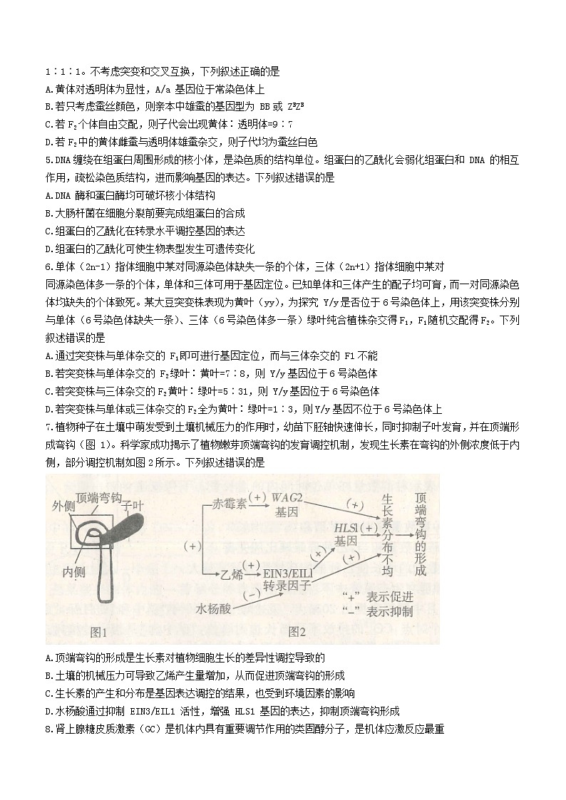 2022济宁高三下学期三模生物试题含答案02