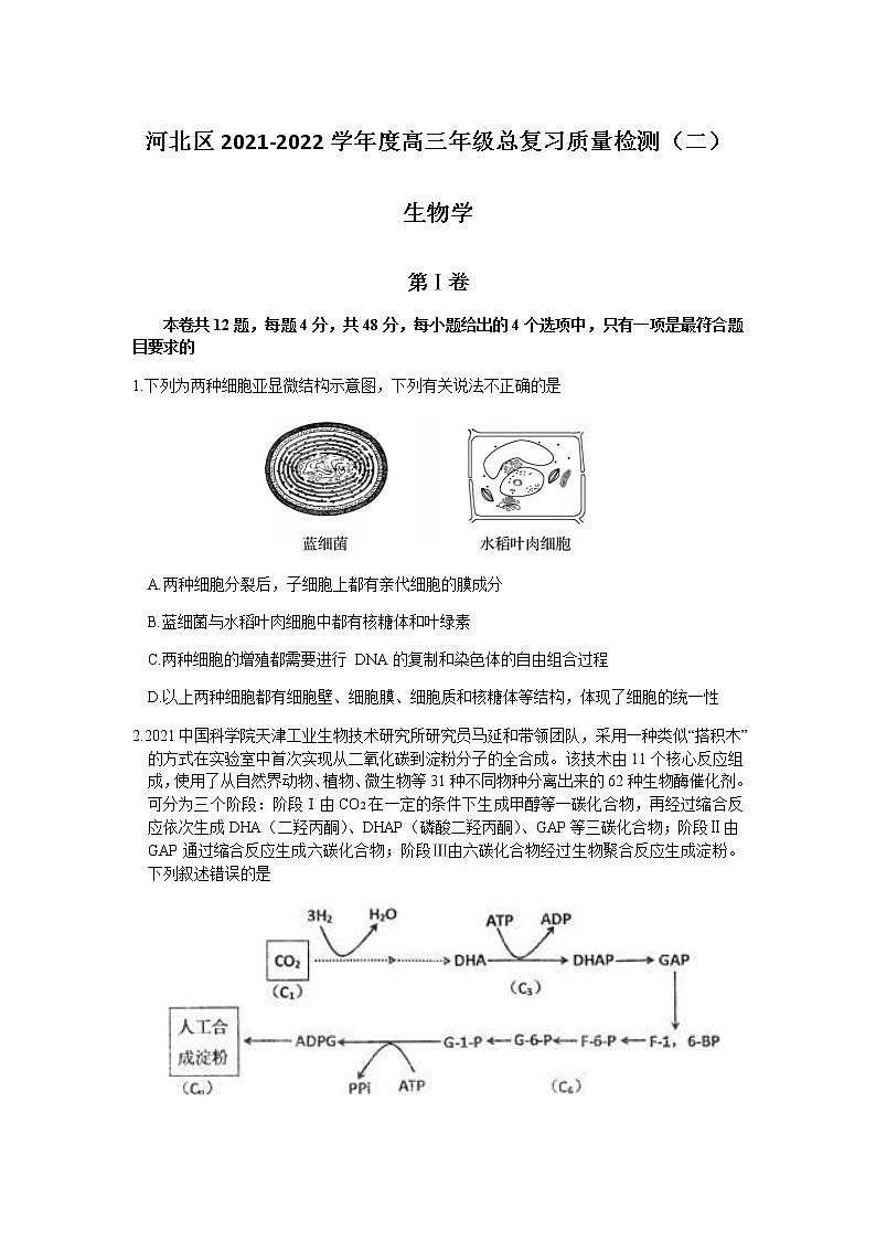 天津市河北区2022届高三下学期二模生物试题第1页