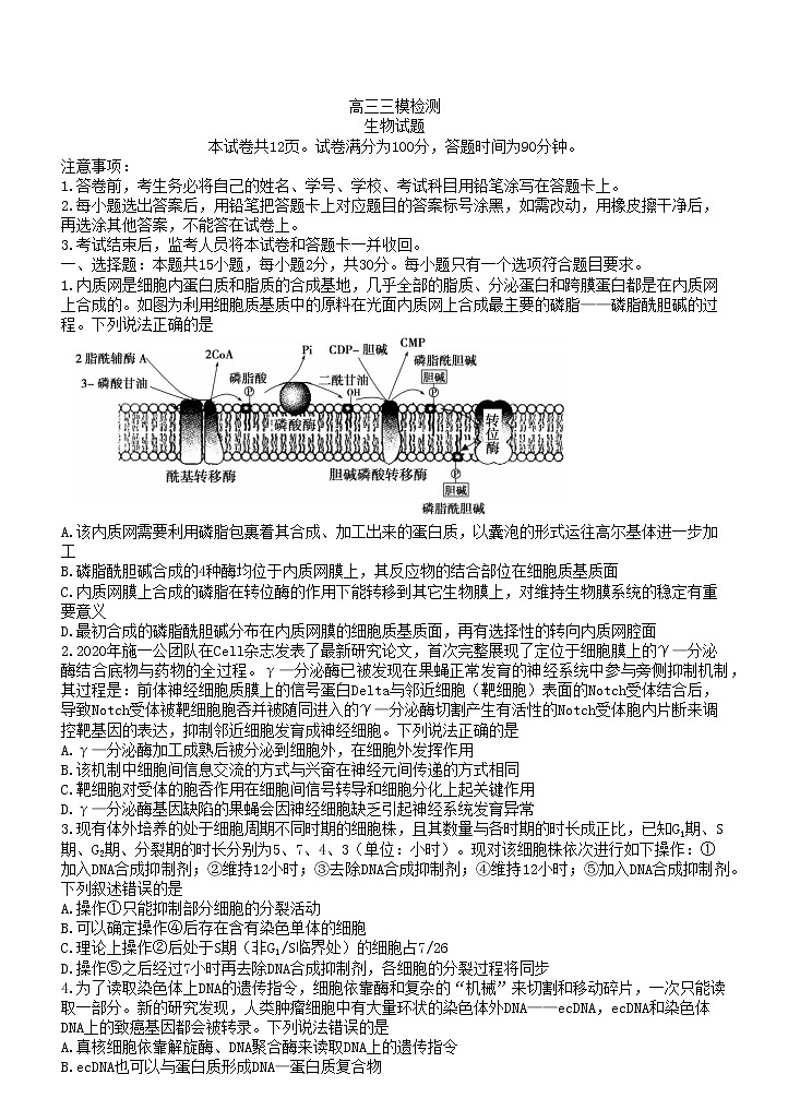 2022届山东省泰安市高考三模生物试题第1页