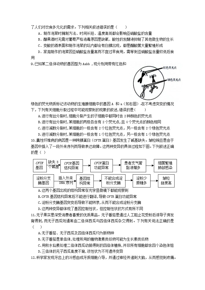 2022黄冈中学高三第三次模拟考试生物（含答案）03