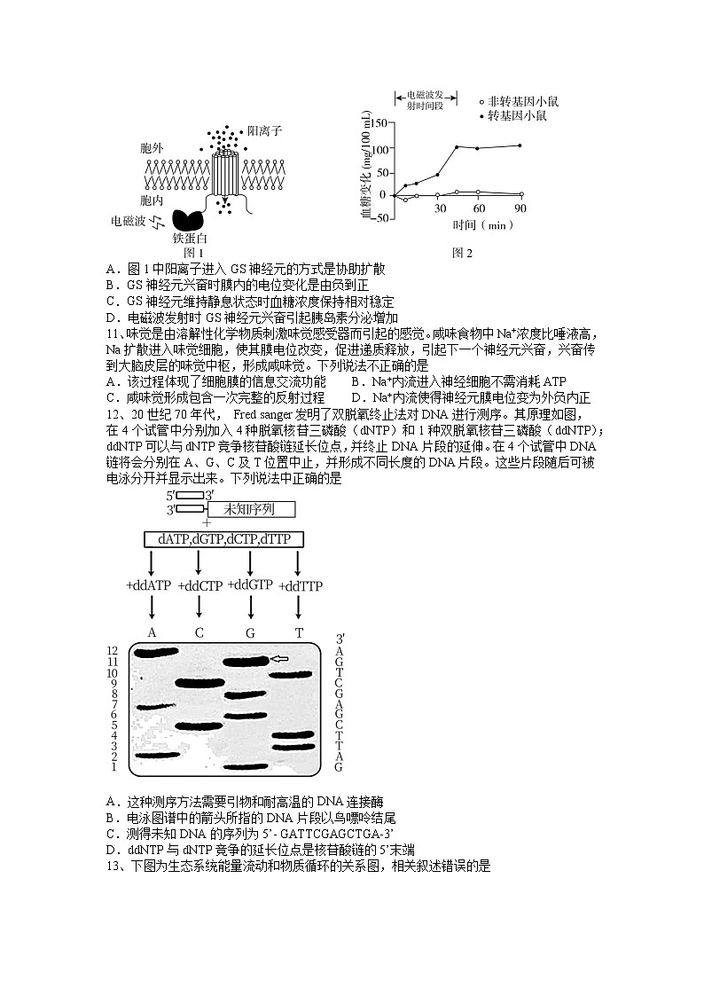 2022襄阳五中高三适应性考试（二）（二模）生物试卷（含答案）03