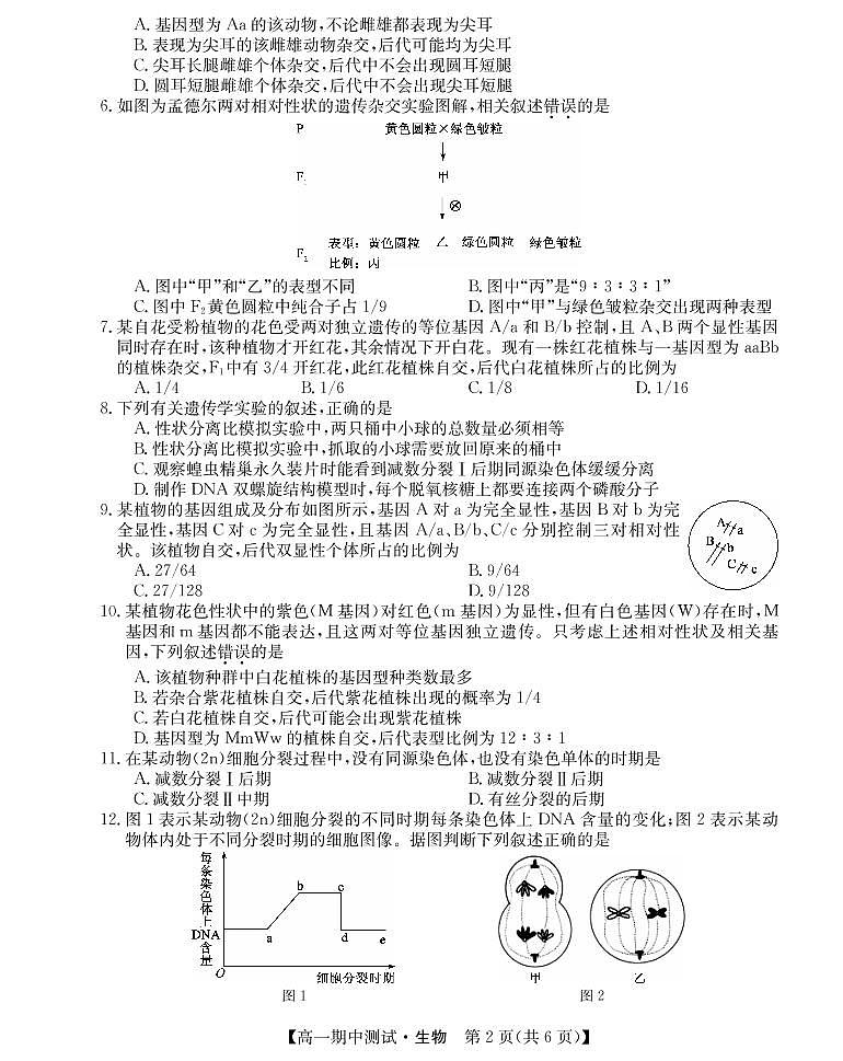 2022运城高中联合体高一下学期期中联考生物试题PDF版含答案02