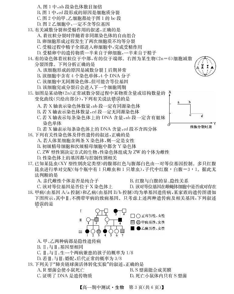 2022运城高中联合体高一下学期期中联考生物试题PDF版含答案03