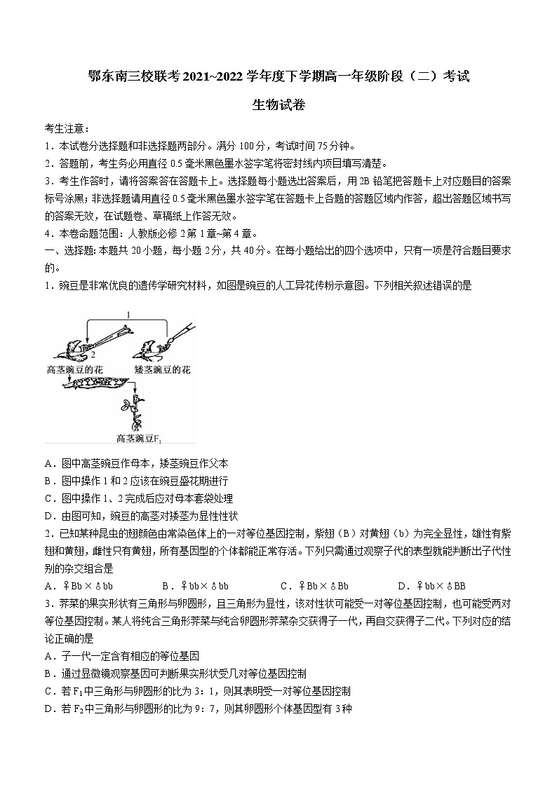 2022湖北省鄂东南三校联考高一下学期阶段（二）考试生物试题（含答案）第1页
